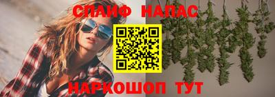 прущие крисы Сланцы
