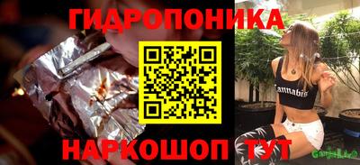 прущие крисы Сланцы