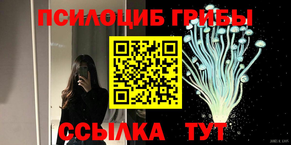 Псилоцибиновые грибы прущие грибы  Вход с VPN  Ноябрьск  наркошоп  Псилоцибиновые грибы Cubensis 